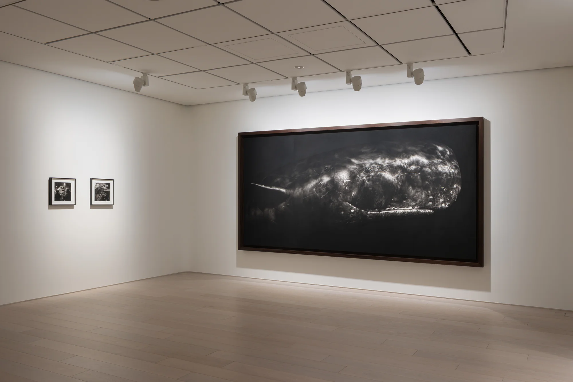 Installation view of Angels of the Maelstrom by Robert Longo