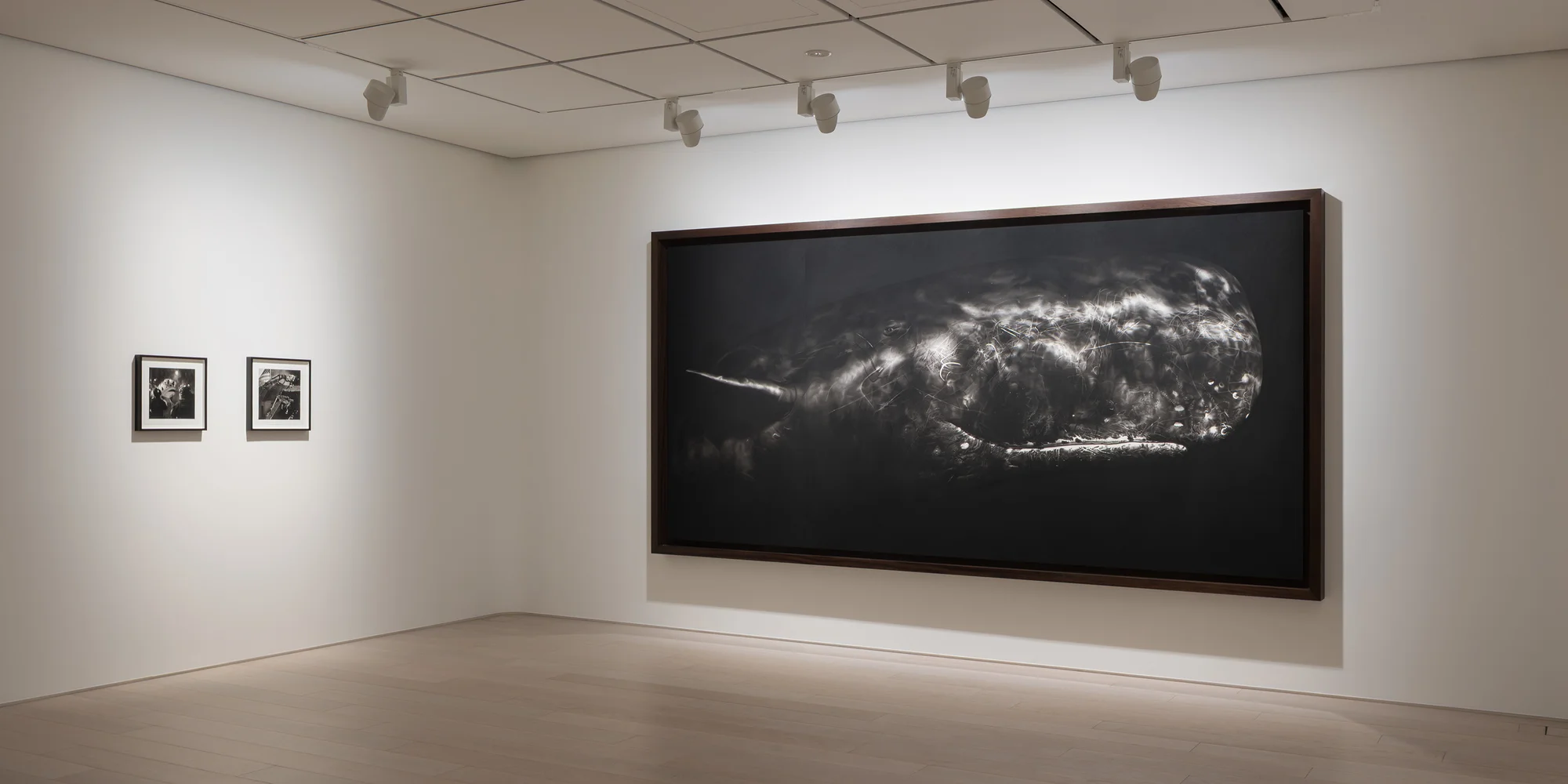 Installation view of Angels of the Maelstrom by Robert Longo