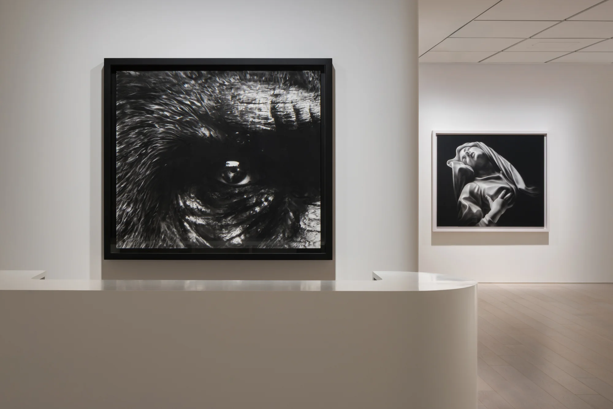 Installation view of Angels of the Maelstrom by Robert Longo
