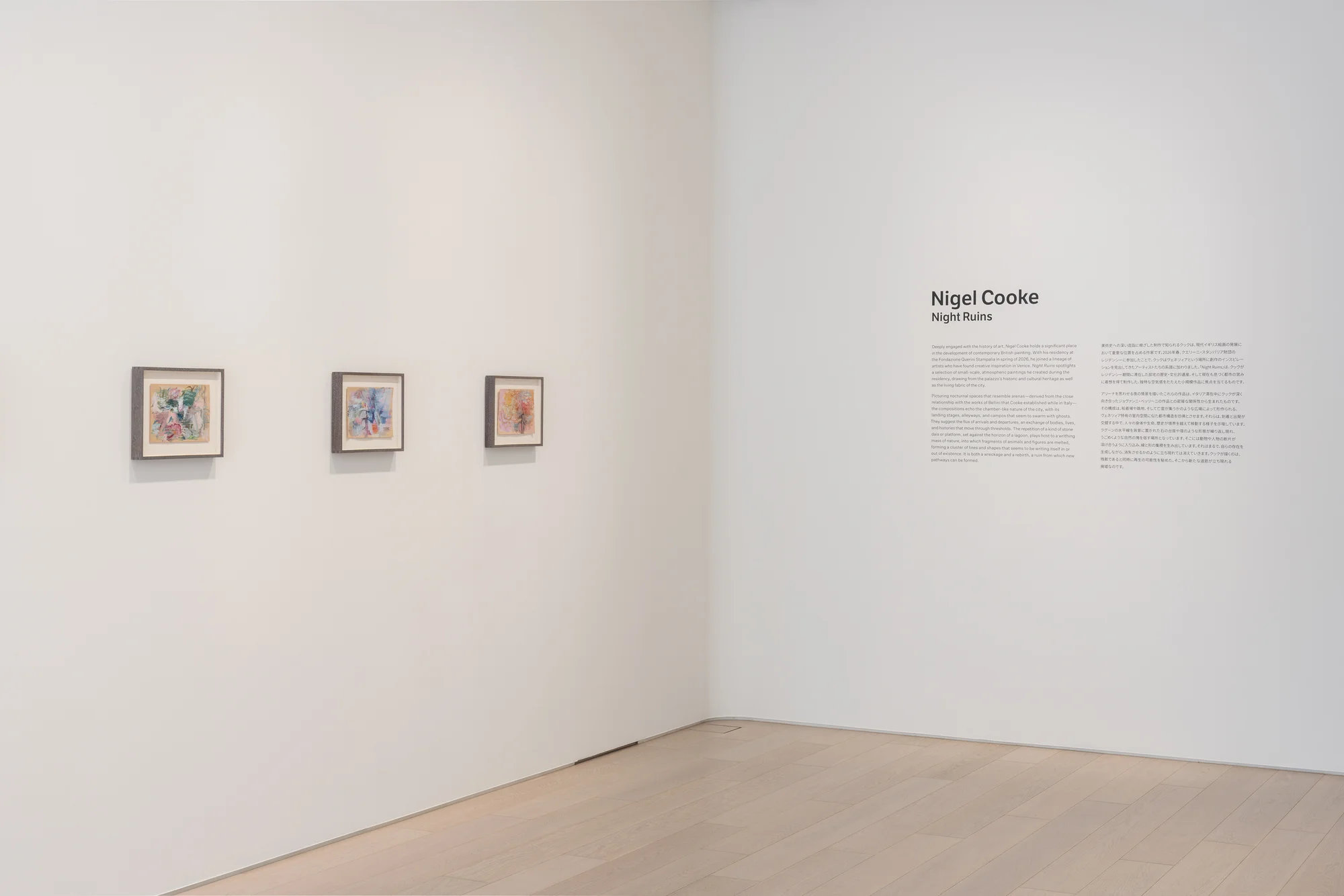 Installation view of Night Ruins by Nigel Cooke