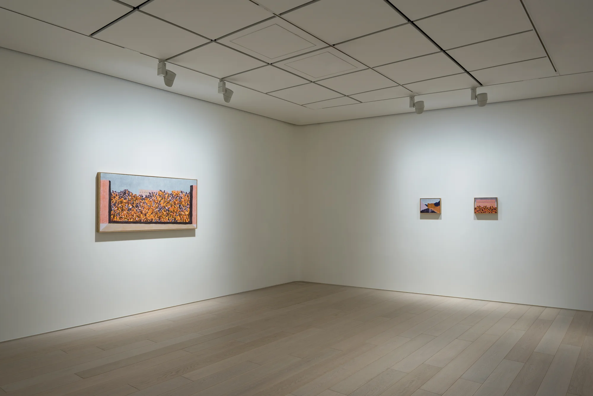 Installation view of Noon Day Night by William Monk