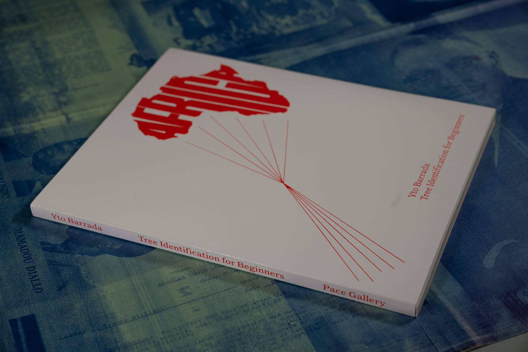 06-2018 Yto Barrada Catalog-DSC01774.jpg