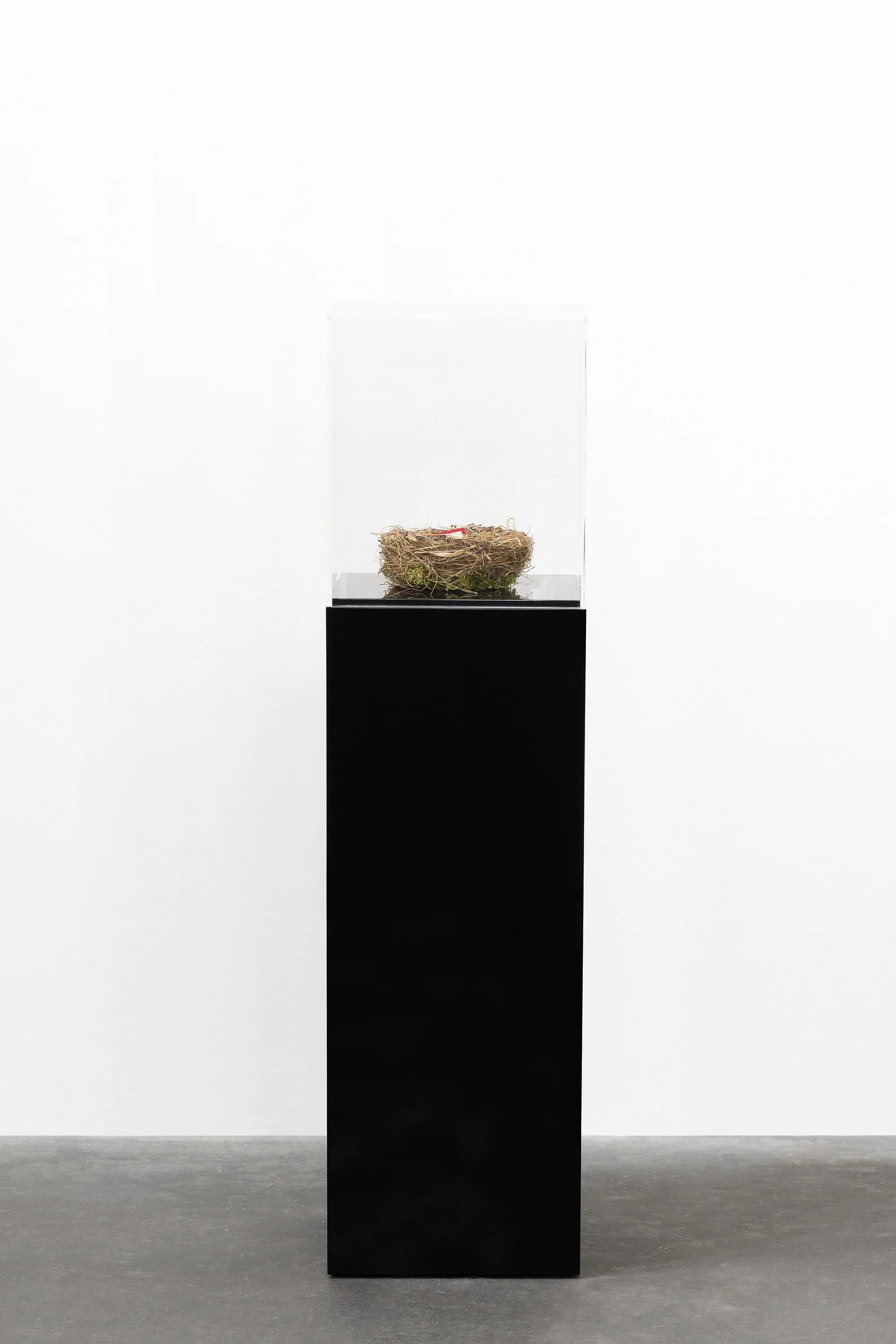 How to Become A Bird by Elmgreen & Dragset