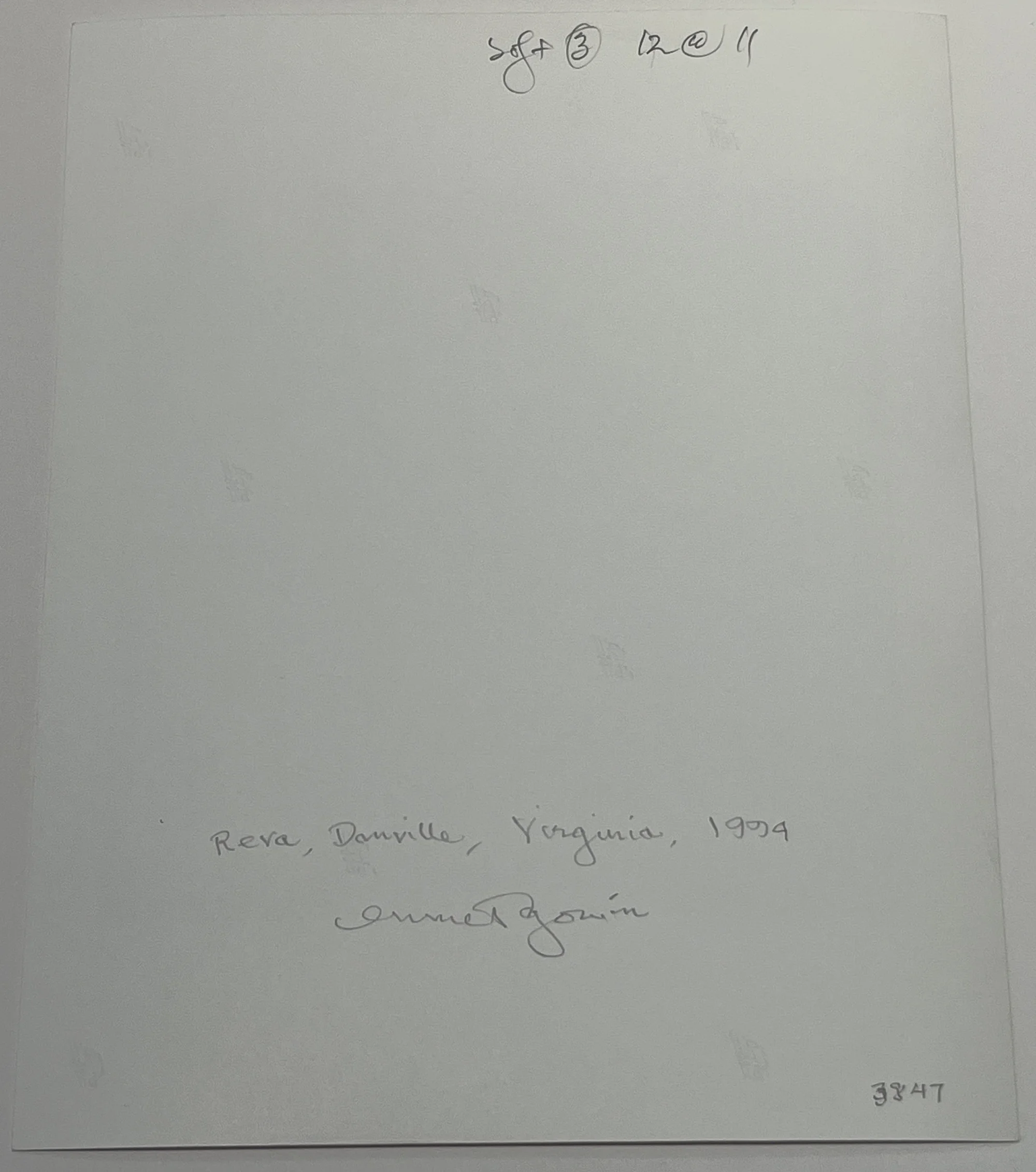Reva, Danville, Virginia by Emmet Gowin