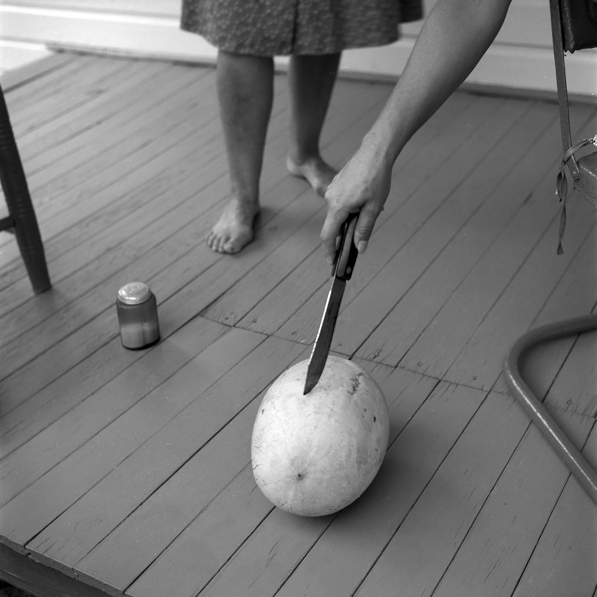 Gertrude’s Melon, Danville, Virginia by Emmet Gowin