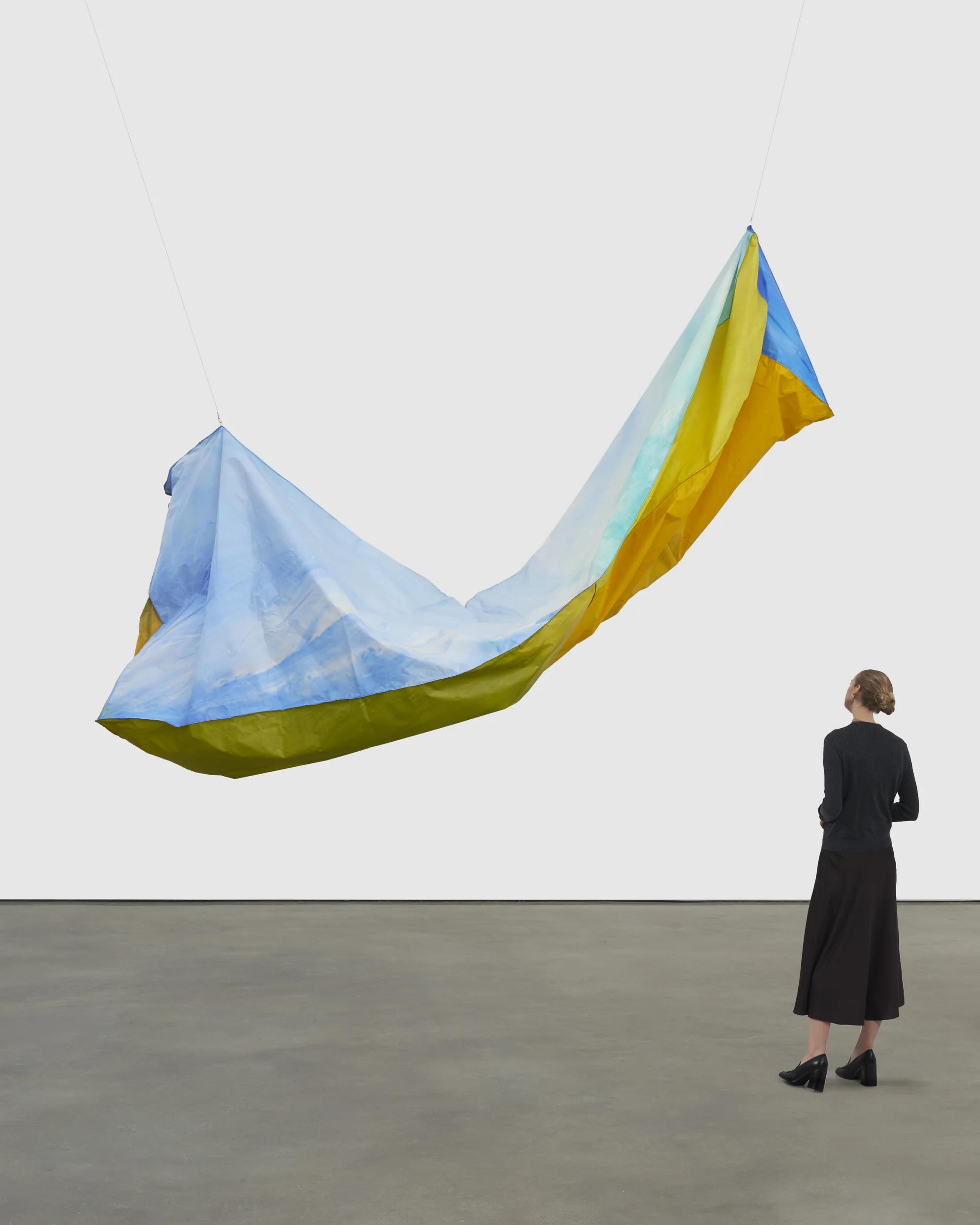 Untitled by Sam Gilliam