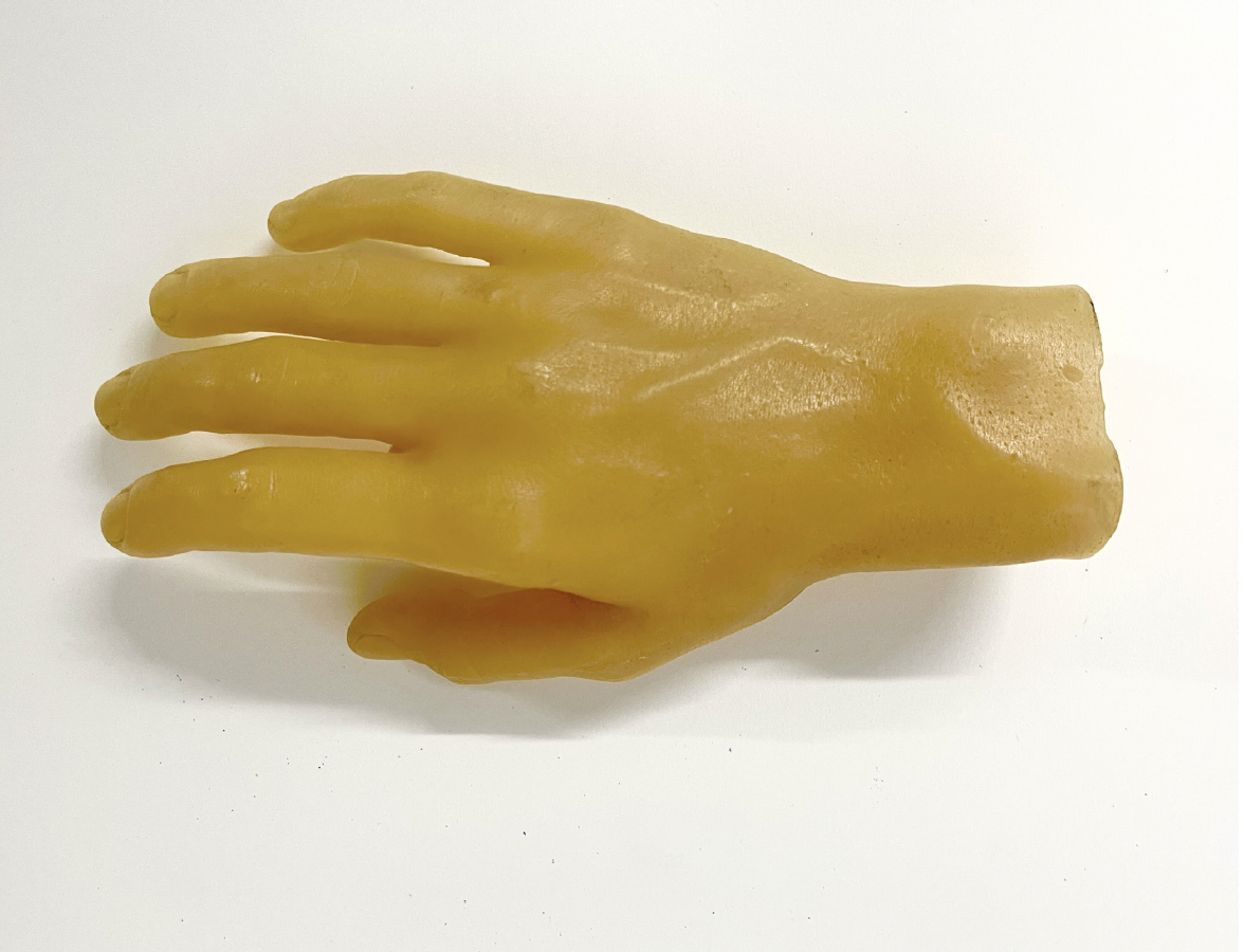 Untitled (Hand) by Paul Thek