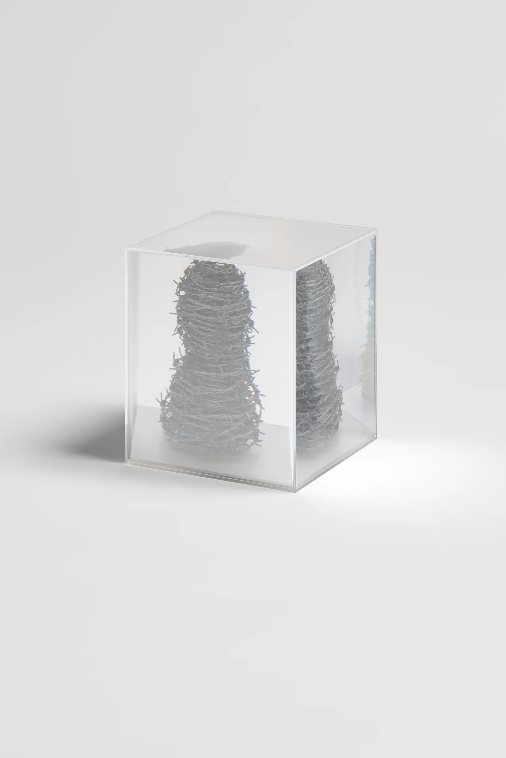 Prism [Barbed Wire] by Kohei Nawa