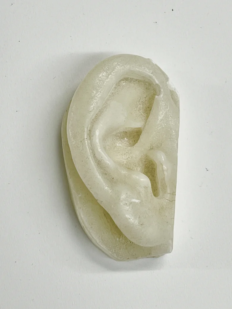 Untitled (Ear) by Paul Thek