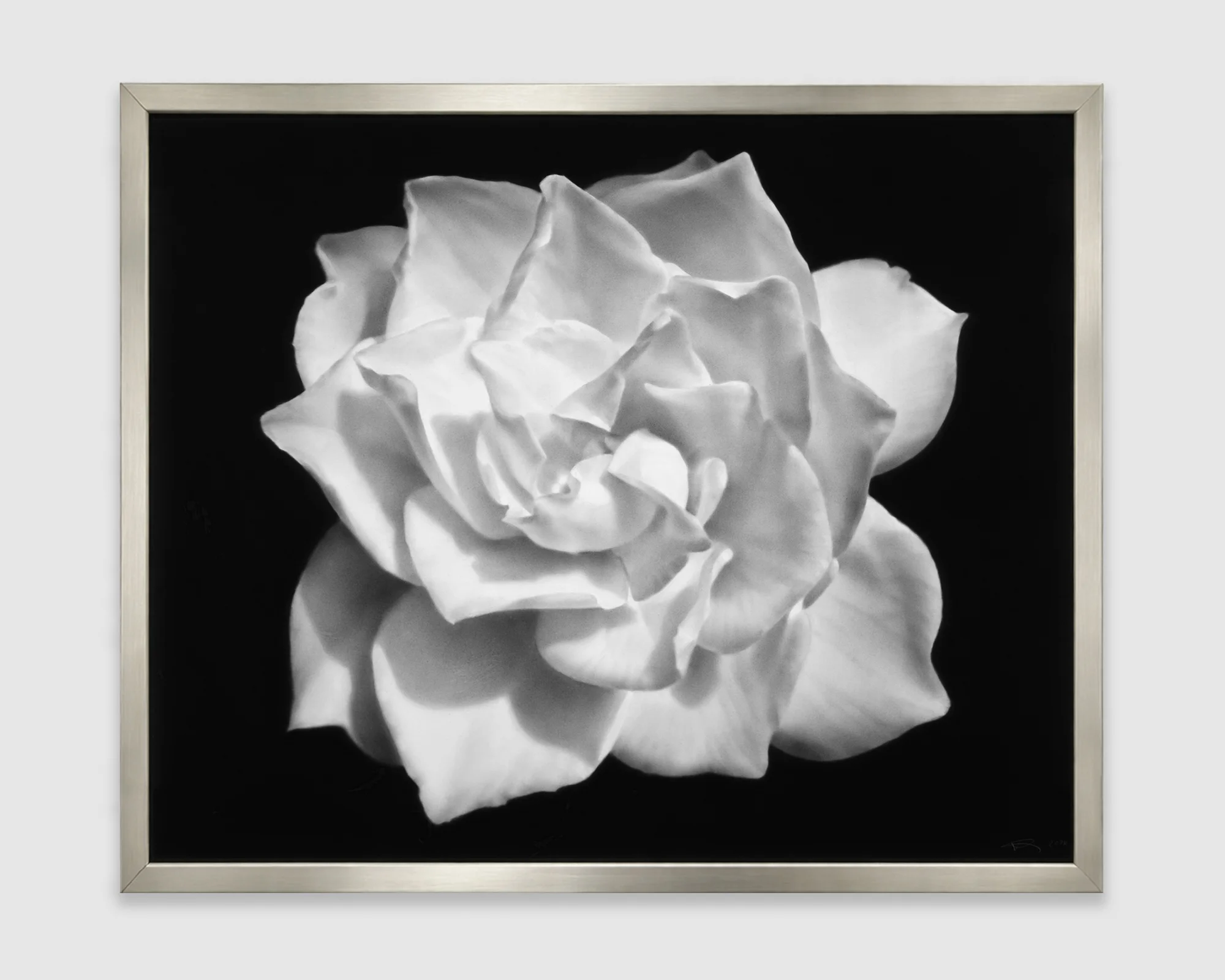 Untitled (Gardenia for Mary) by Robert Longo