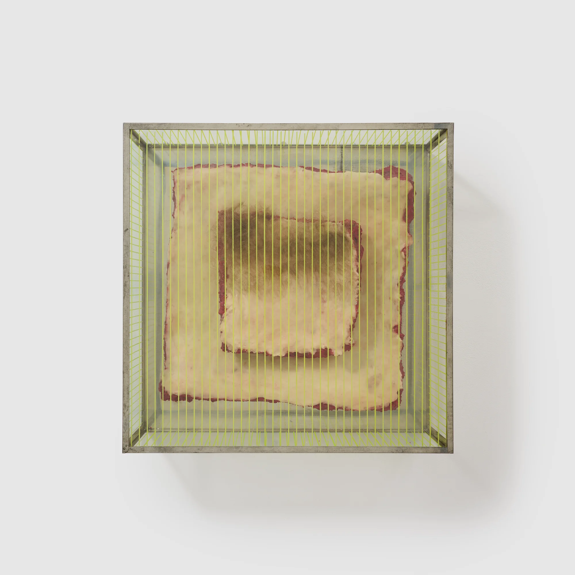 Untitled (from the series "Technological Reliquares") by Paul Thek