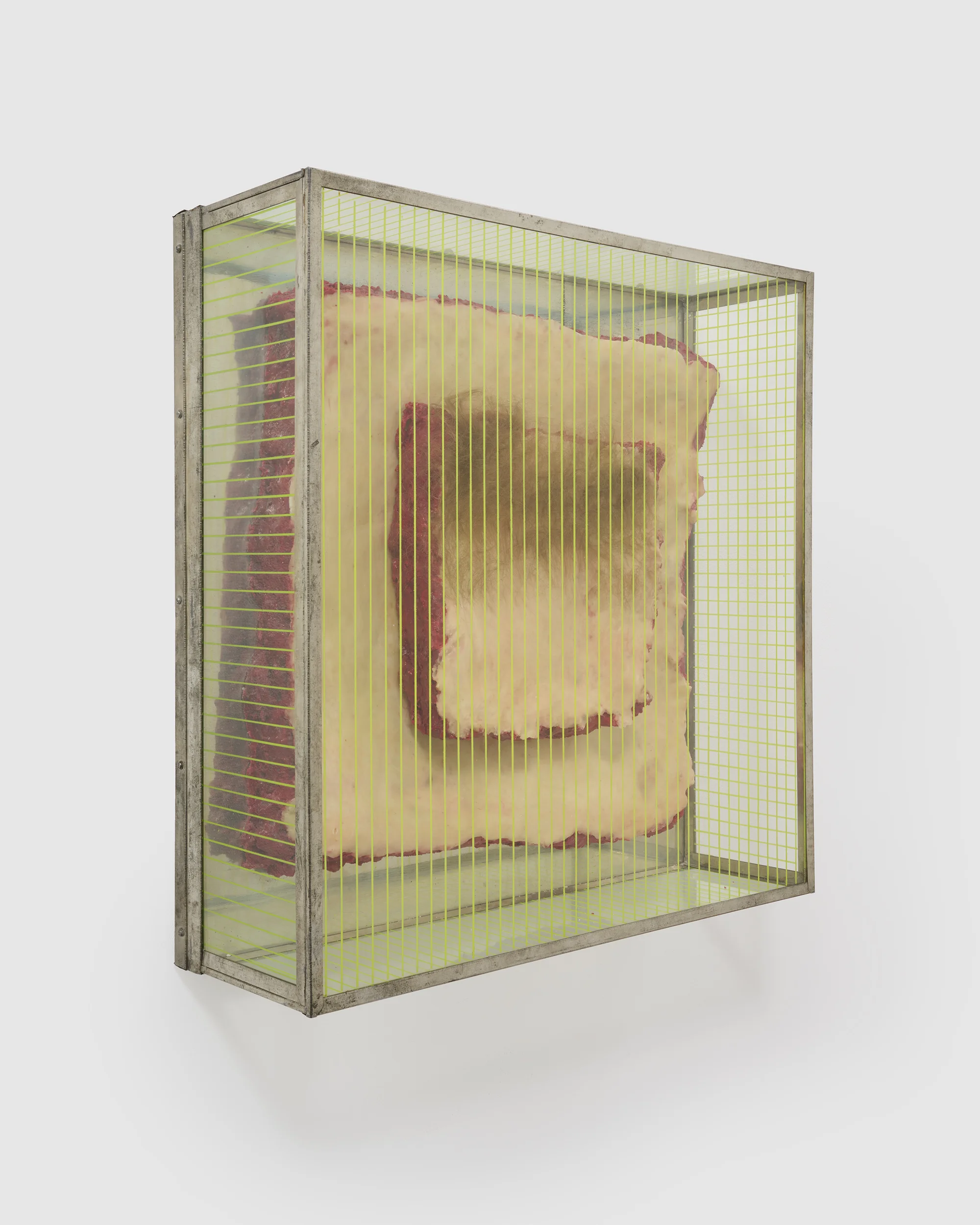 Untitled (from the series "Technological Reliquares") by Paul Thek