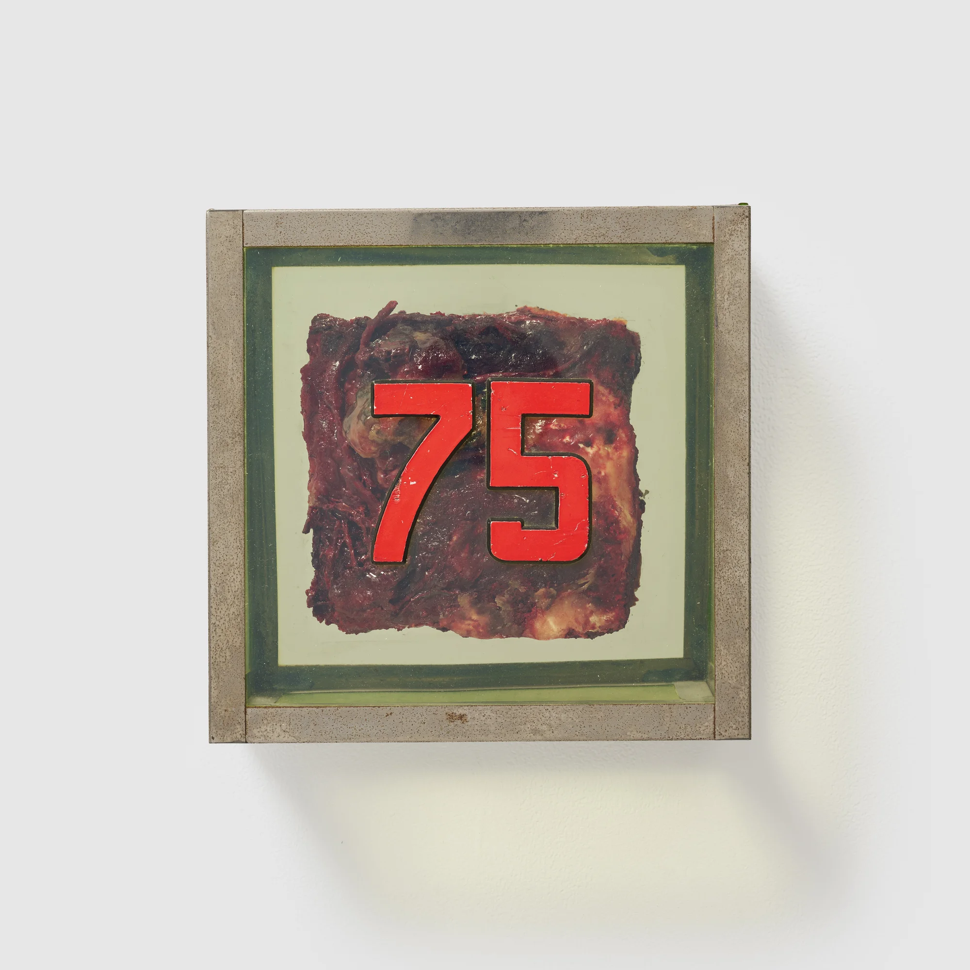 Untitled (#75) (from the series "Technological Reliquares") by Paul Thek