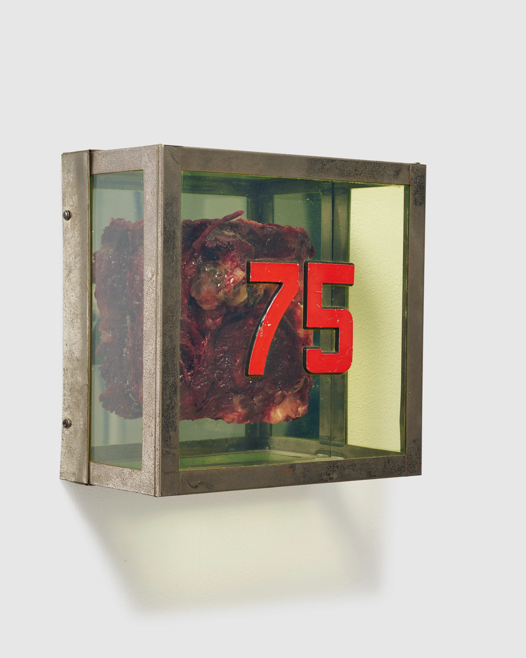 Untitled (#75) (from the series "Technological Reliquares") by Paul Thek
