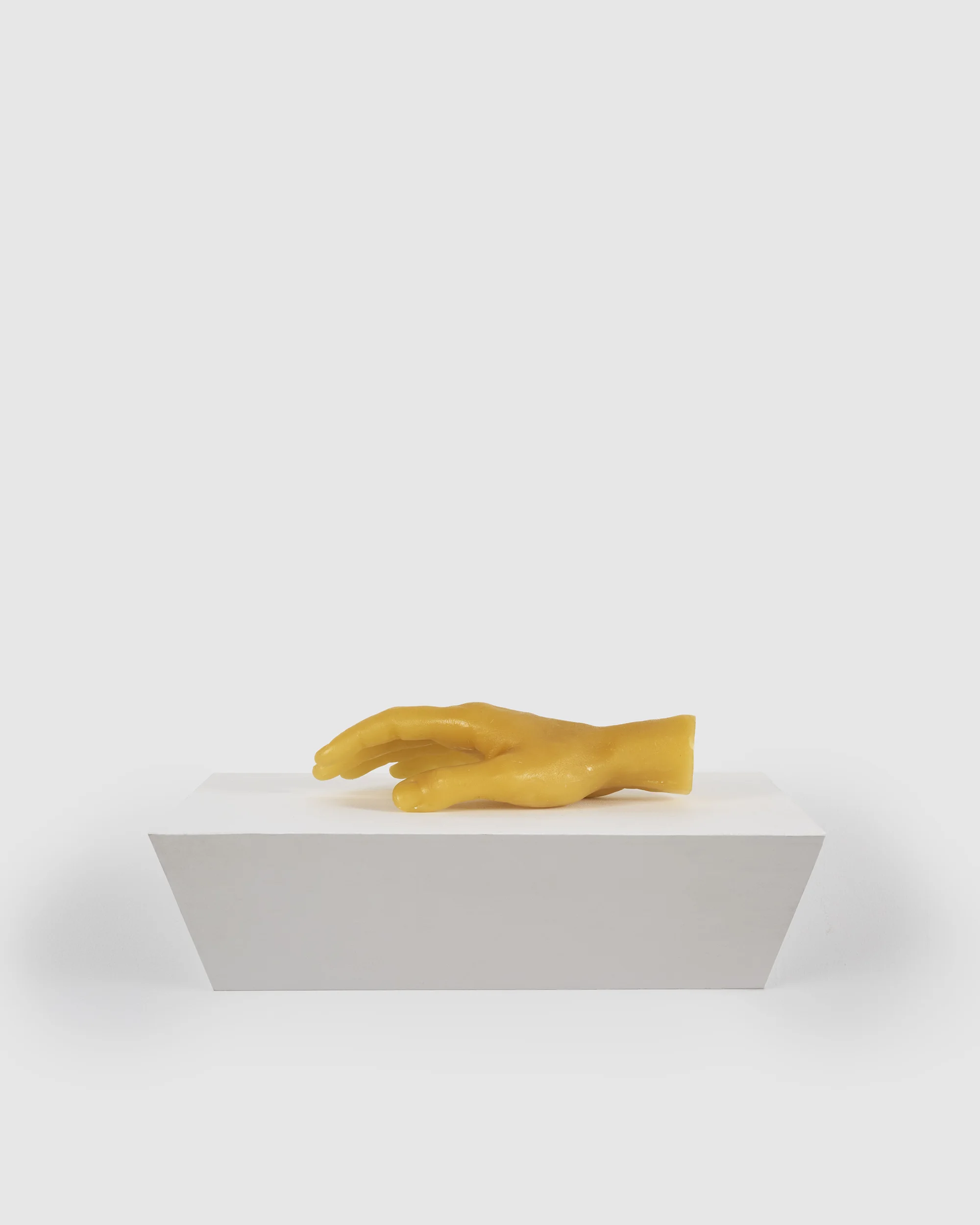 Untitled (Hand) by Paul Thek