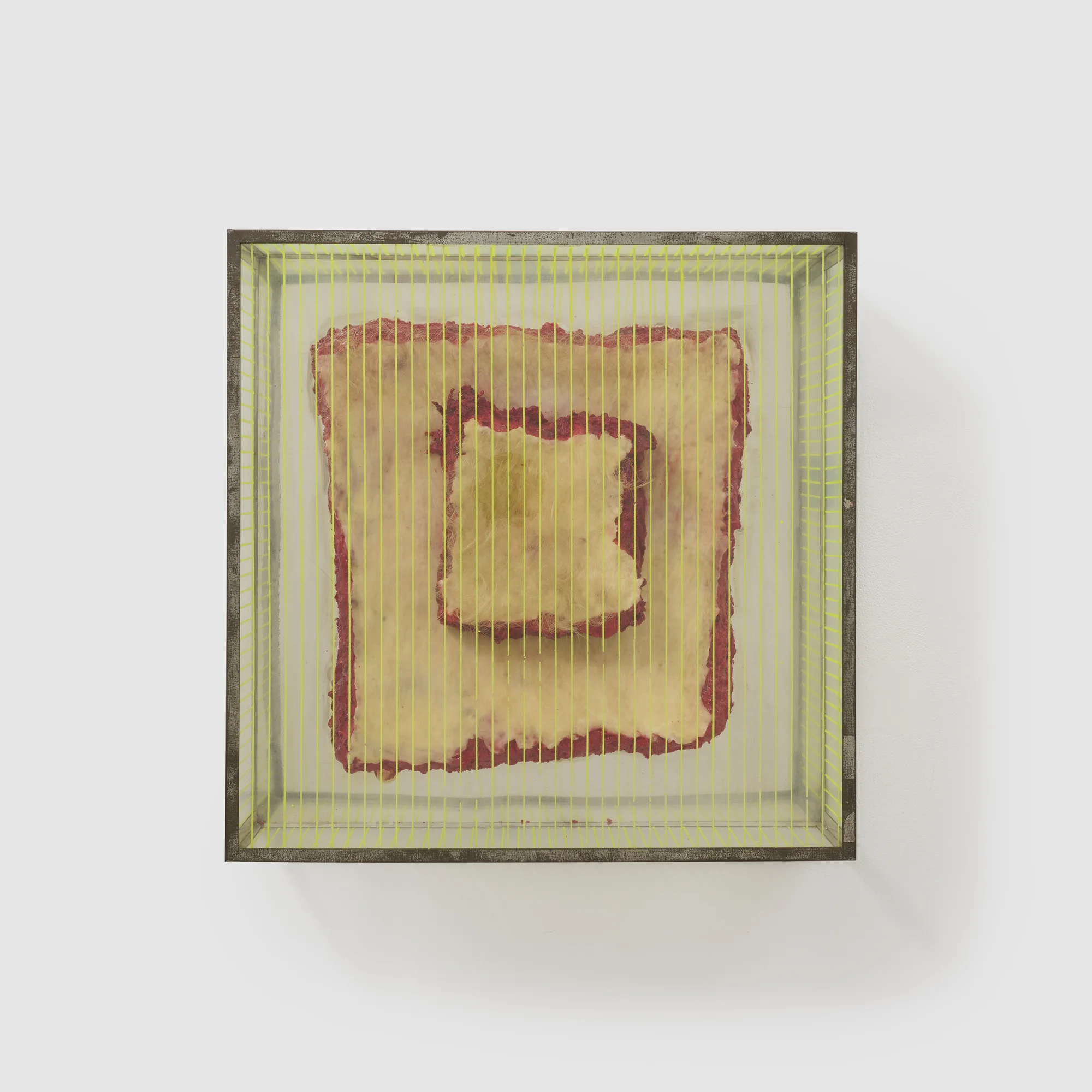Untitled (Blond Meat Piece) from the series "Technological Reliquaries" by Paul Thek