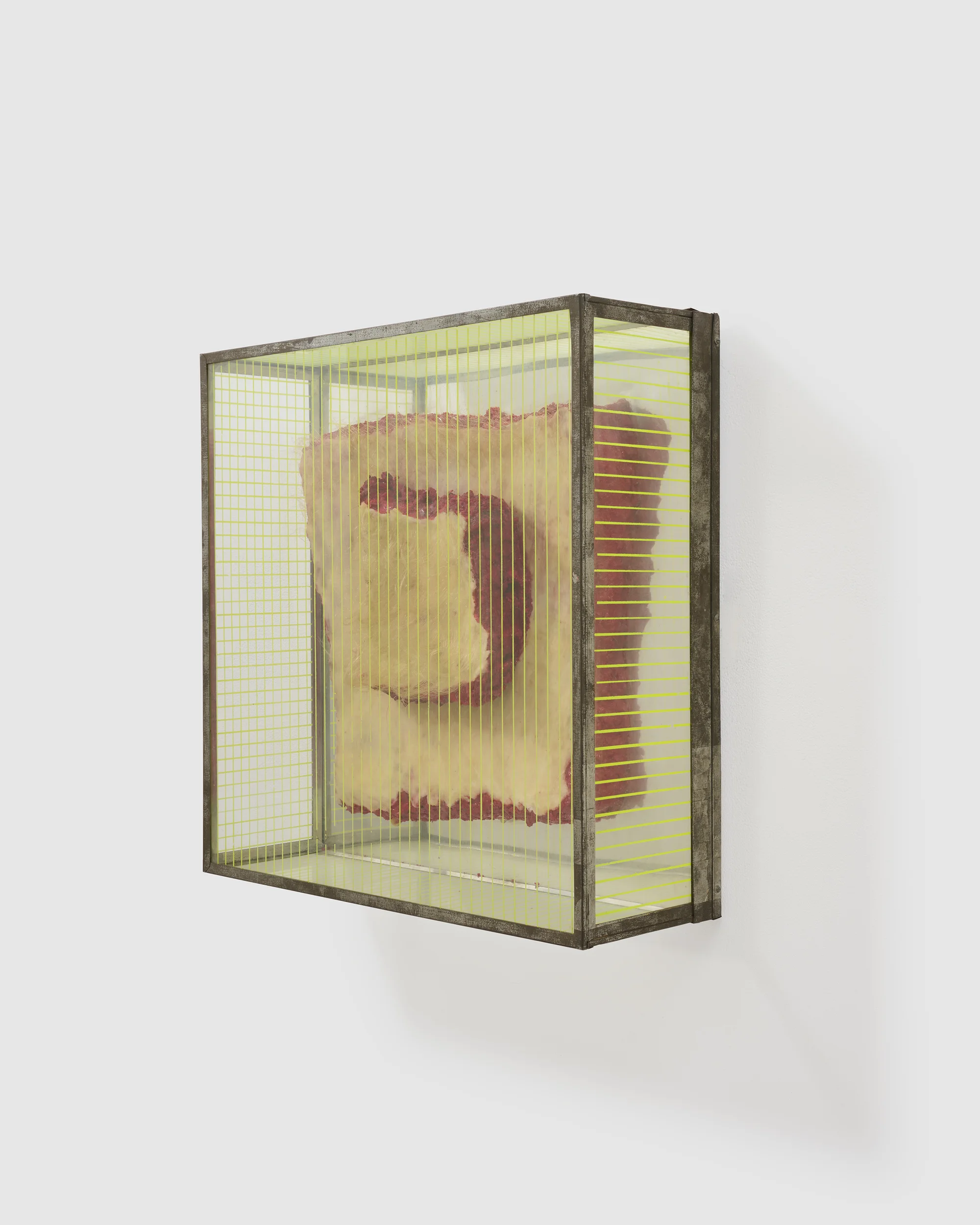 Untitled (Blond Meat Piece) from the series "Technological Reliquaries" by Paul Thek