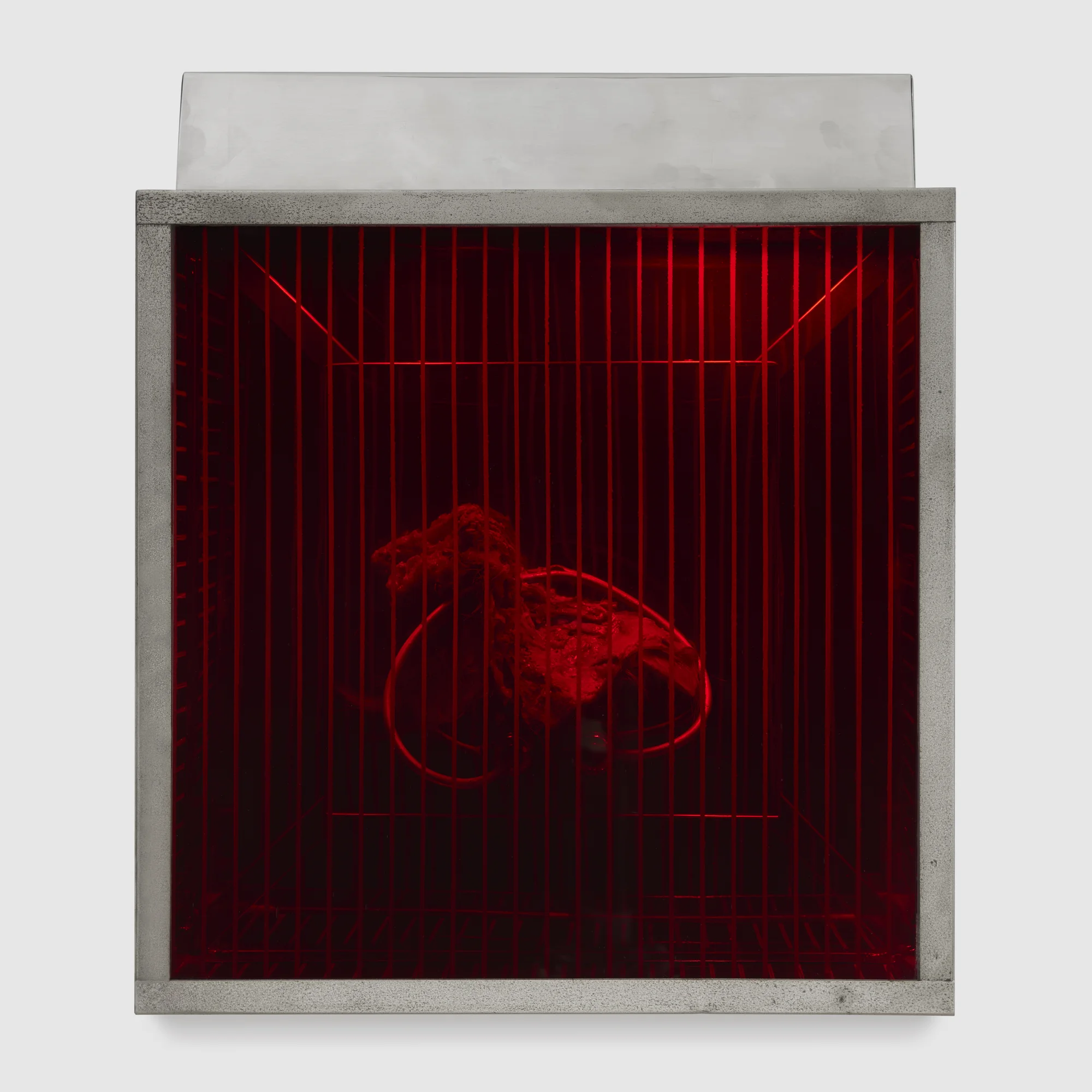 Red Shrine (from the series "Technological Reliquaries") by Paul Thek