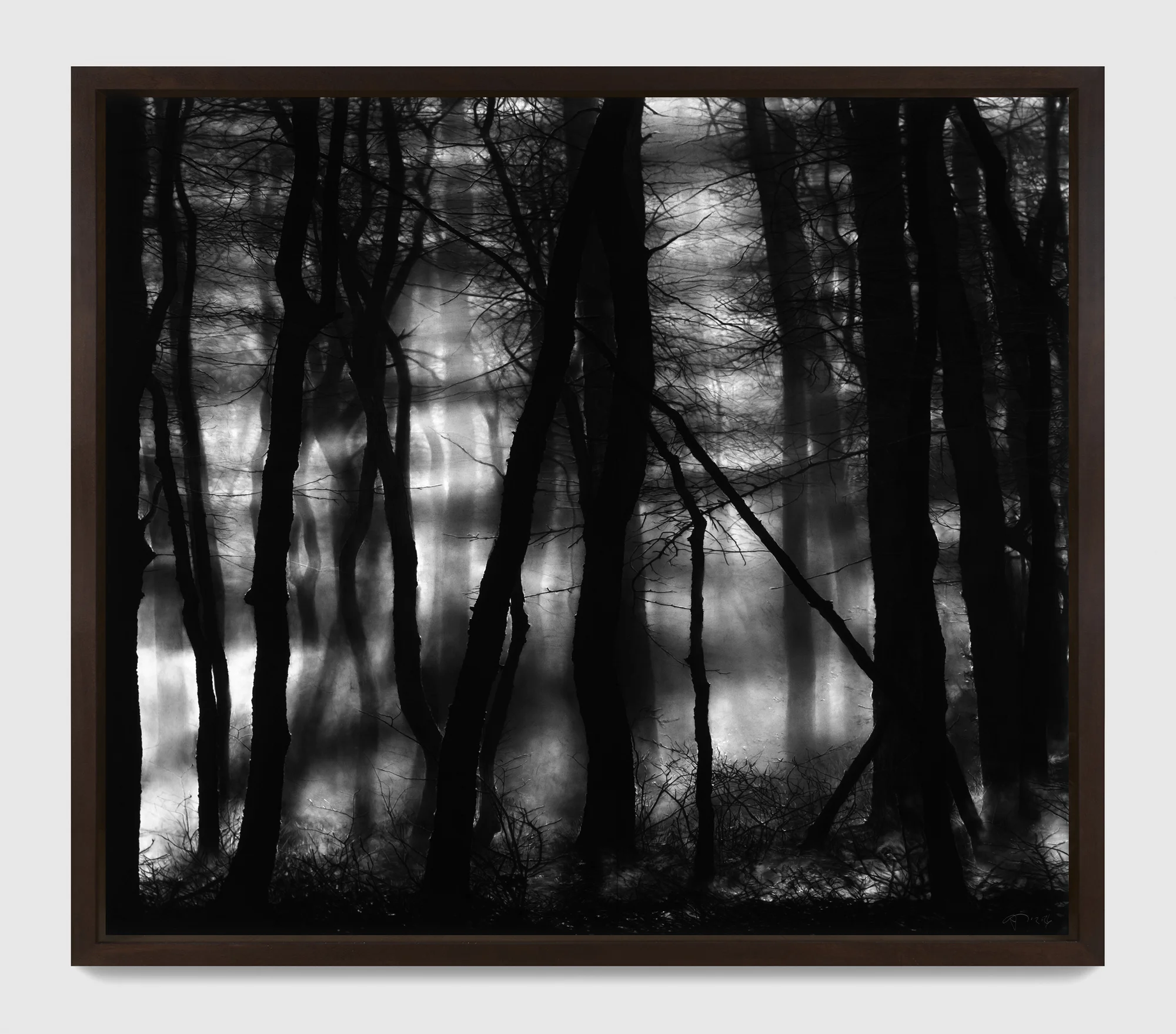 Untitled (Gerhard's Forest) by Robert Longo
