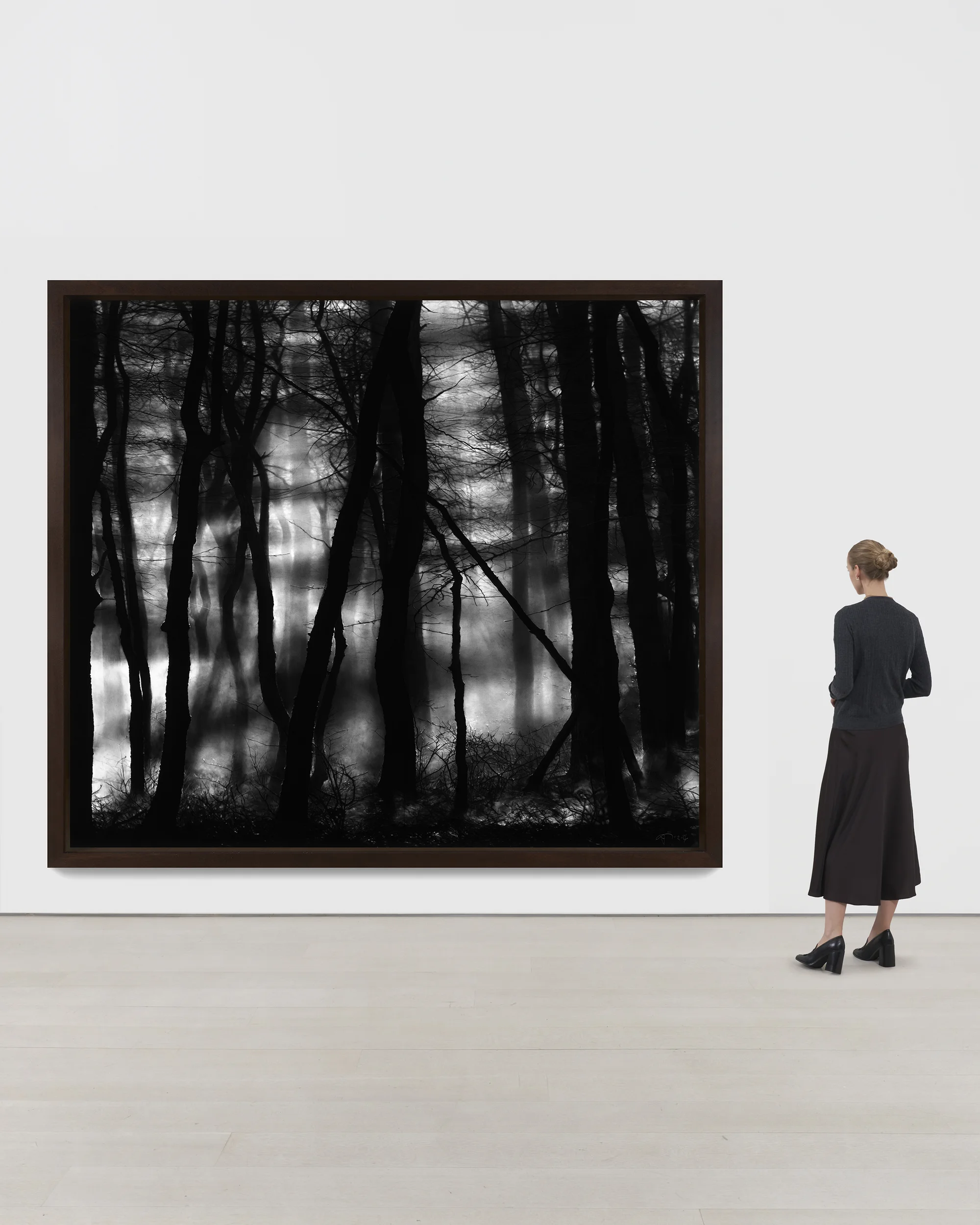 Untitled (Gerhard's Forest) by Robert Longo