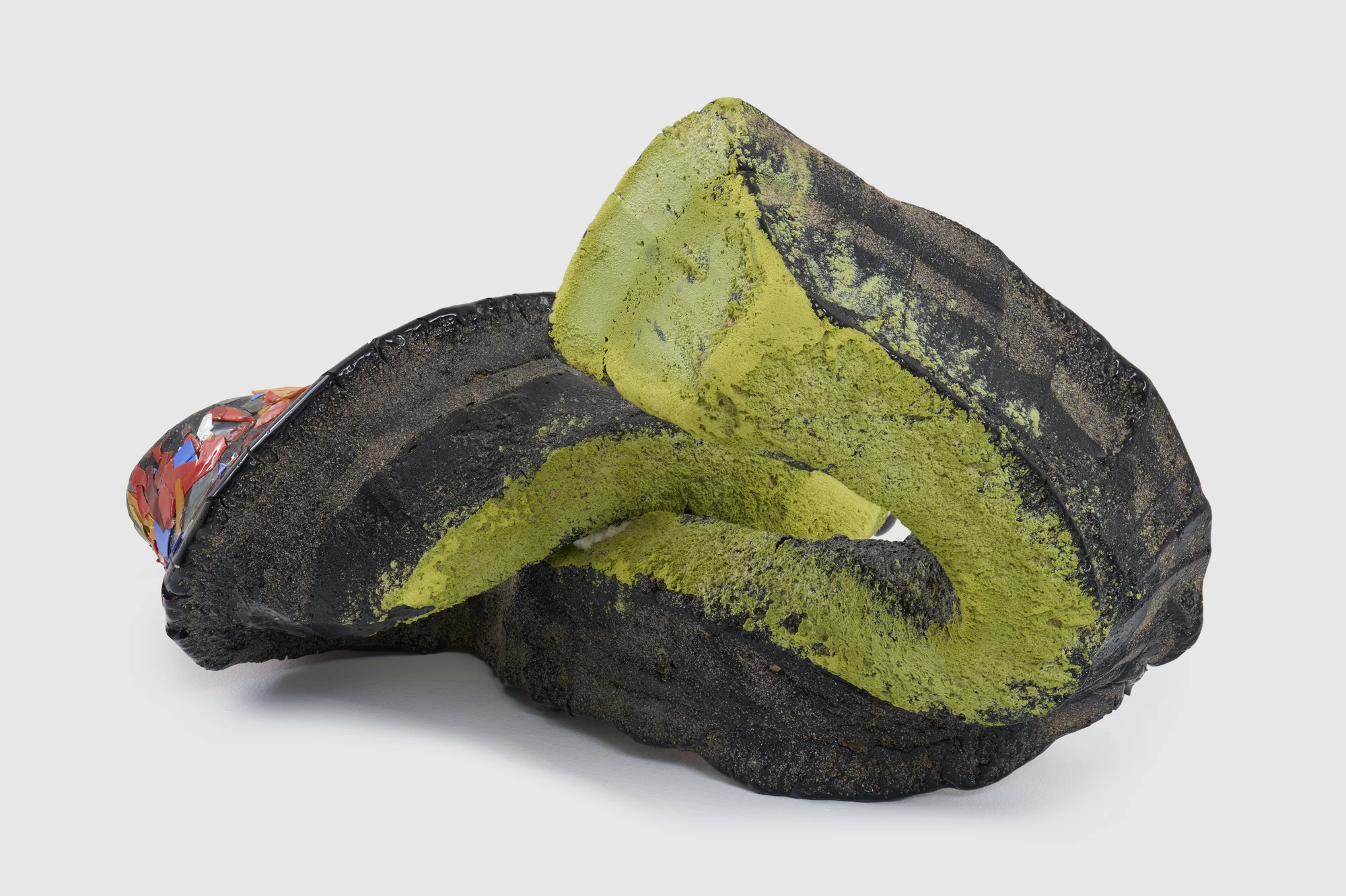 Desert Pupfish by Lynda Benglis