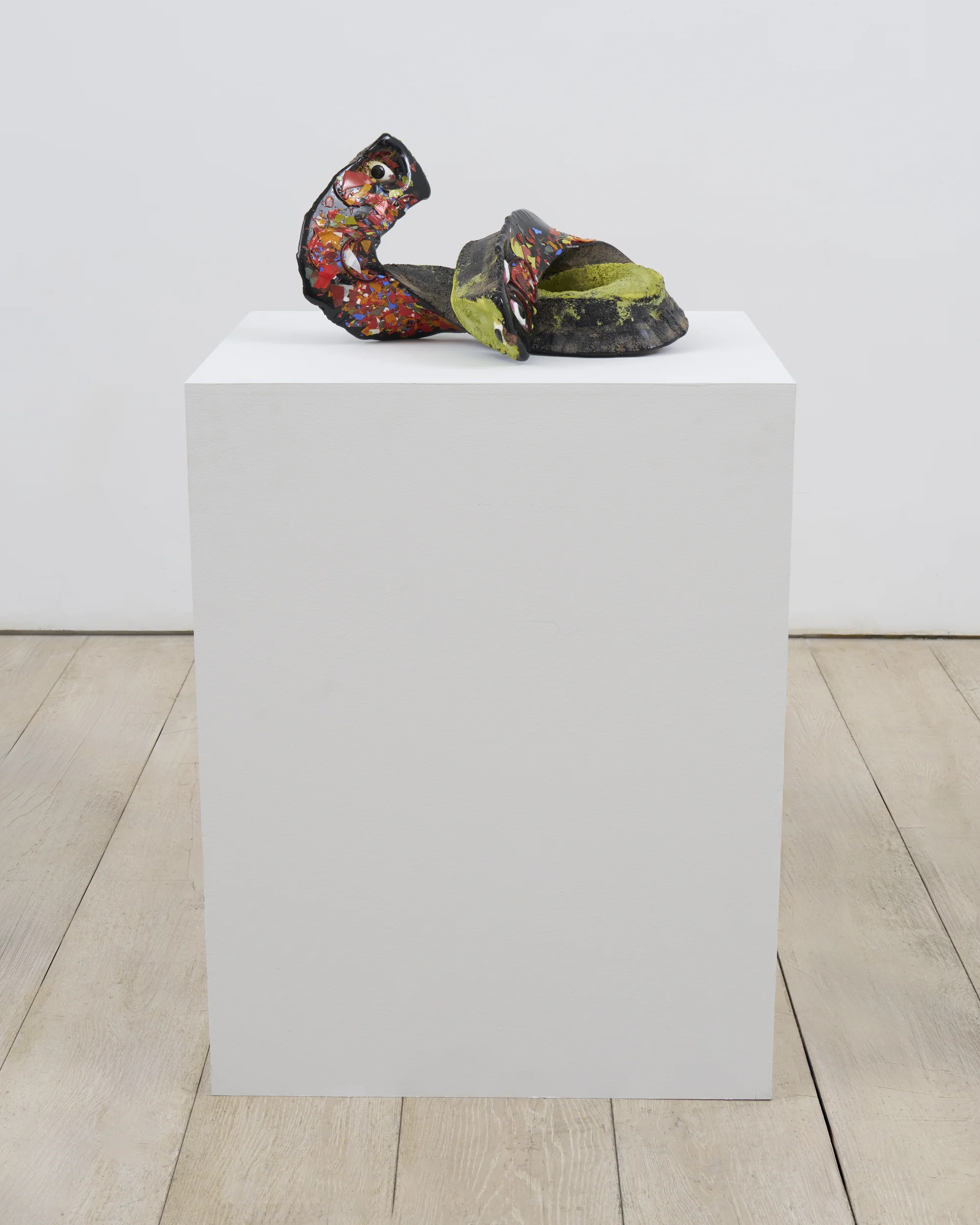 Desert Pupfish by Lynda Benglis