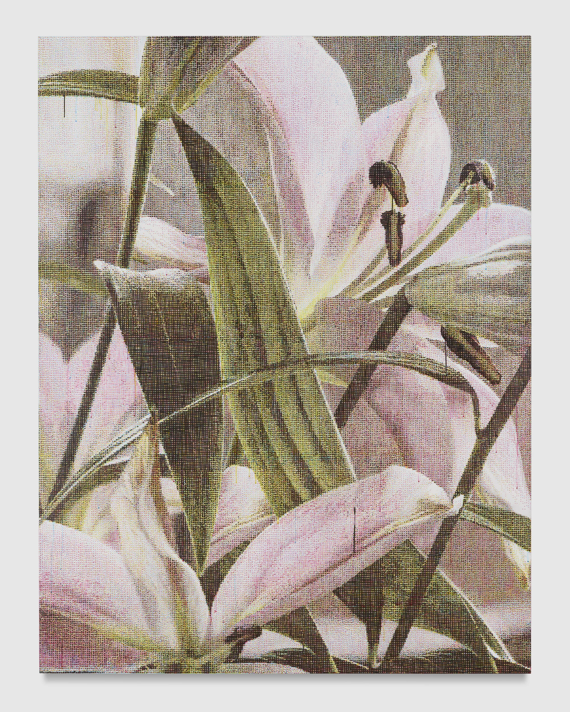 Lilies by Asher Liftin