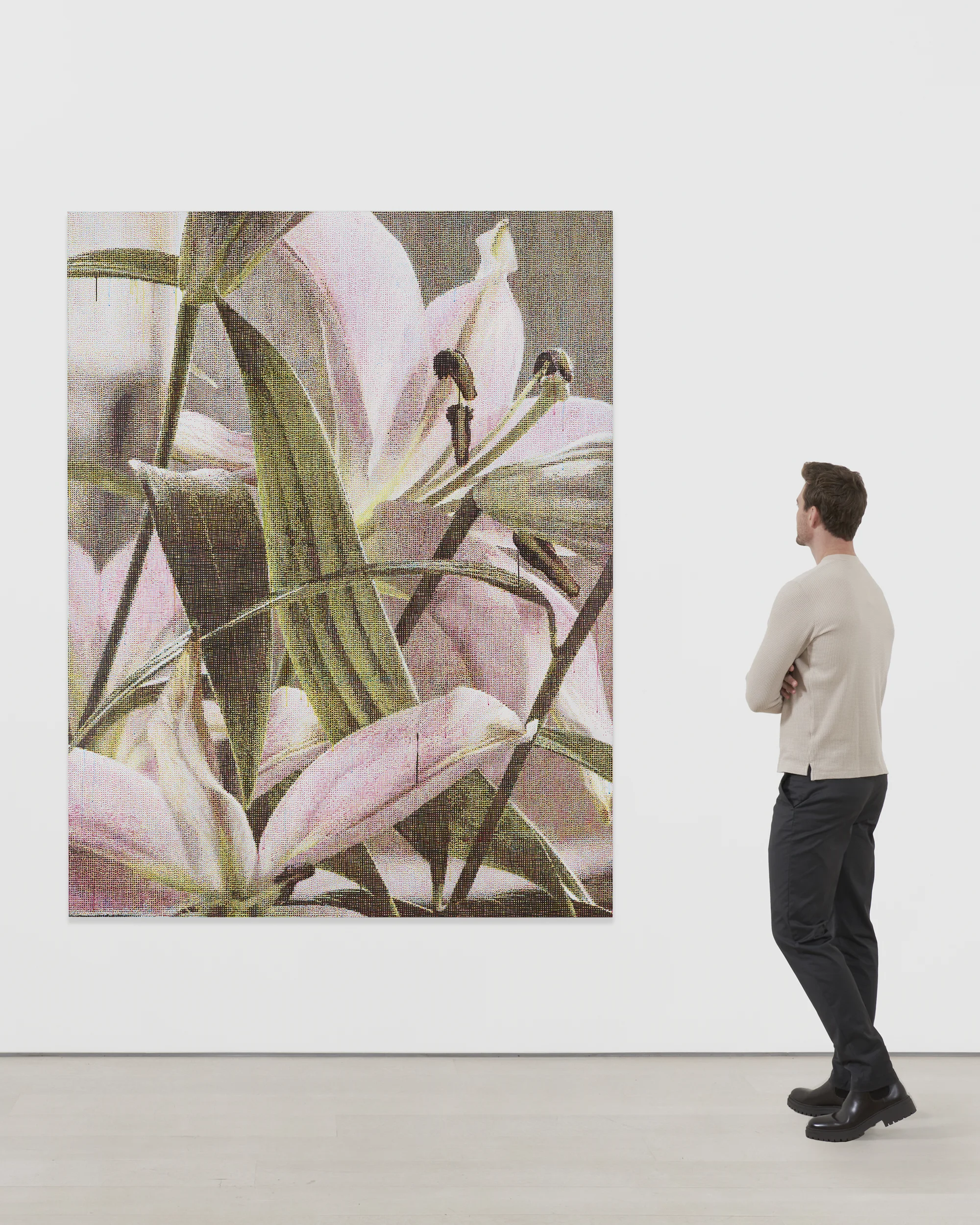 Lilies by Asher Liftin