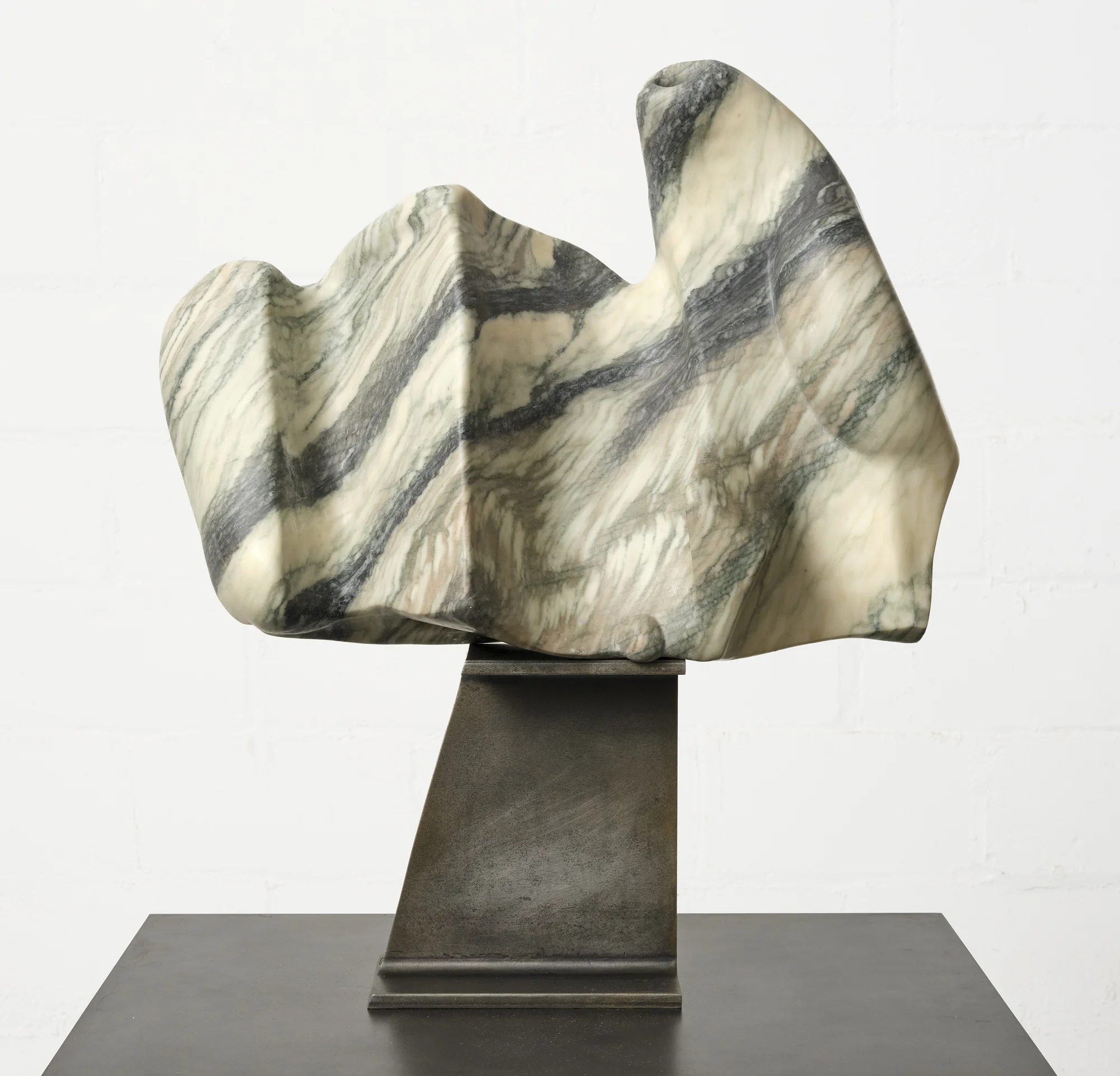 Pulse by Arlene Shechet