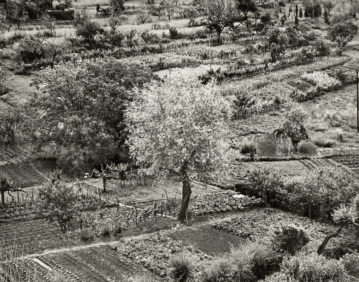 Emmet Gowin — Siena, Italy