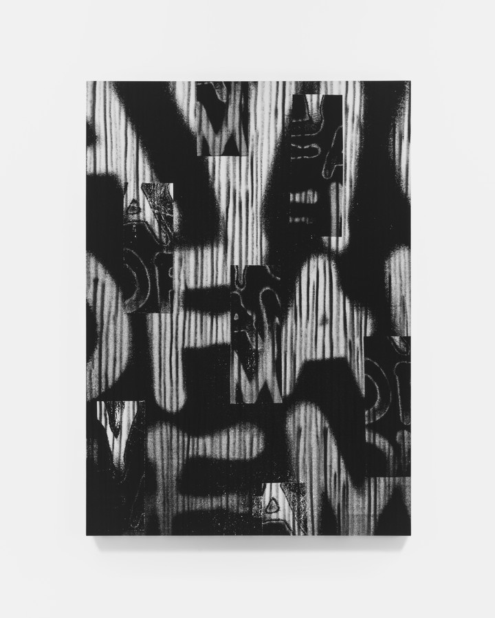 Adam Pendleton — Untitled (A Victim of American Democracy)