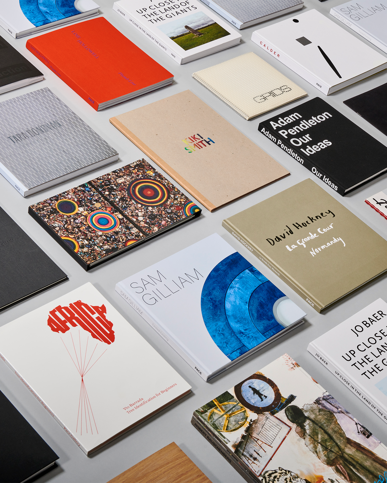 2021_01_26_Pace_Books_grid_0036-4-5.png