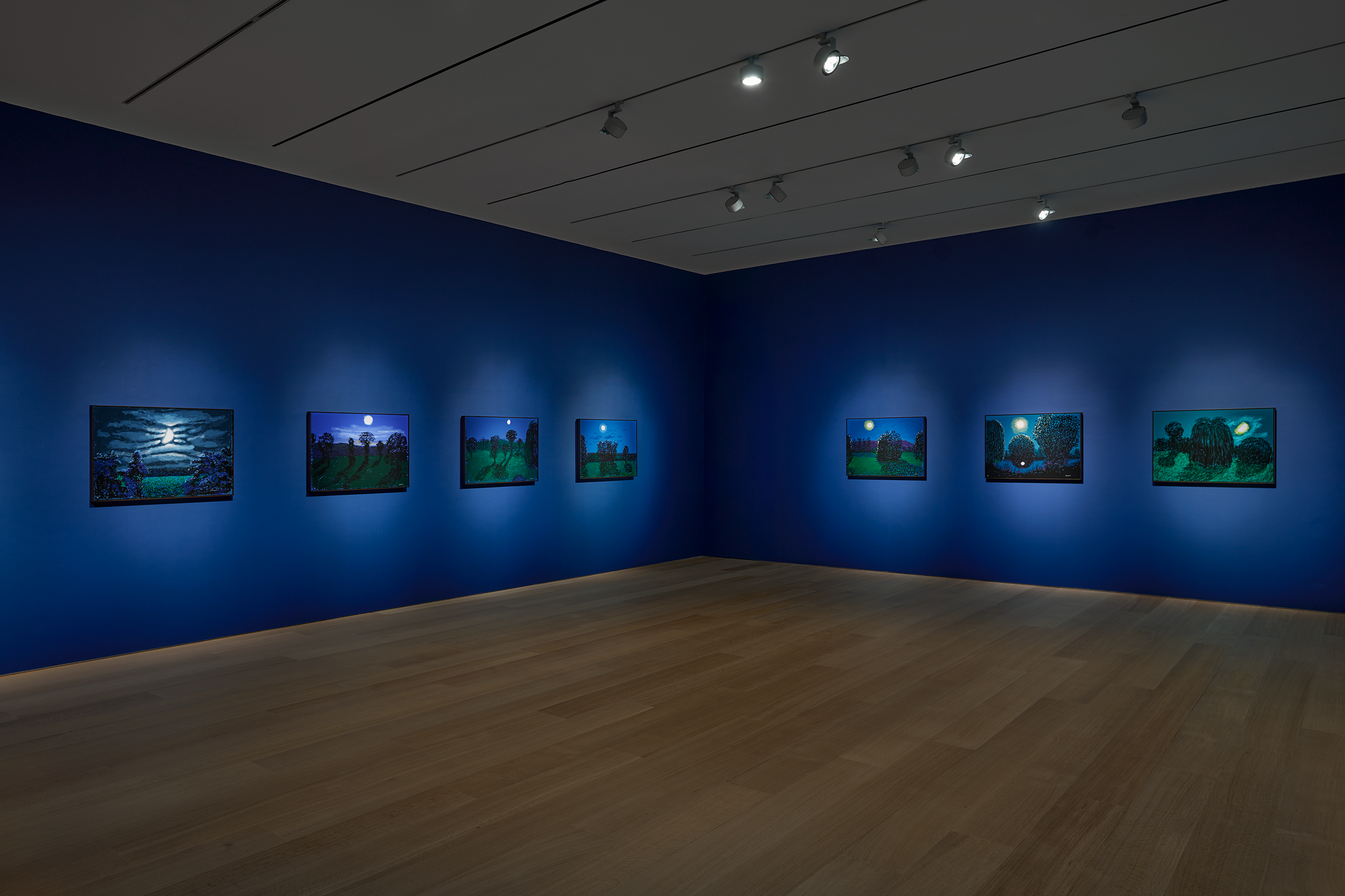 Installation view of The Moon Room by David Hockney