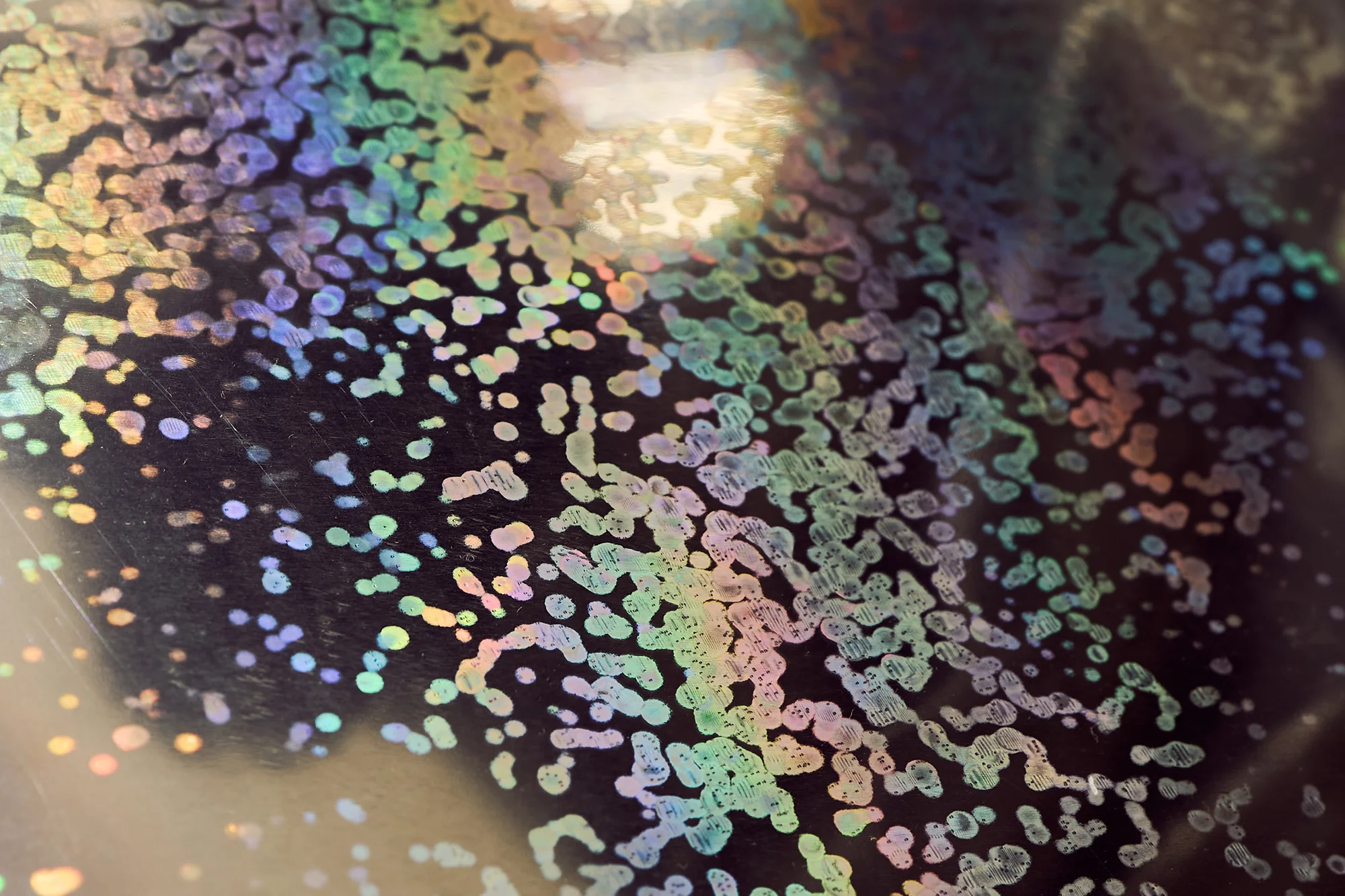 24 Hour Cosmos (Prototype) by Mika Tajima