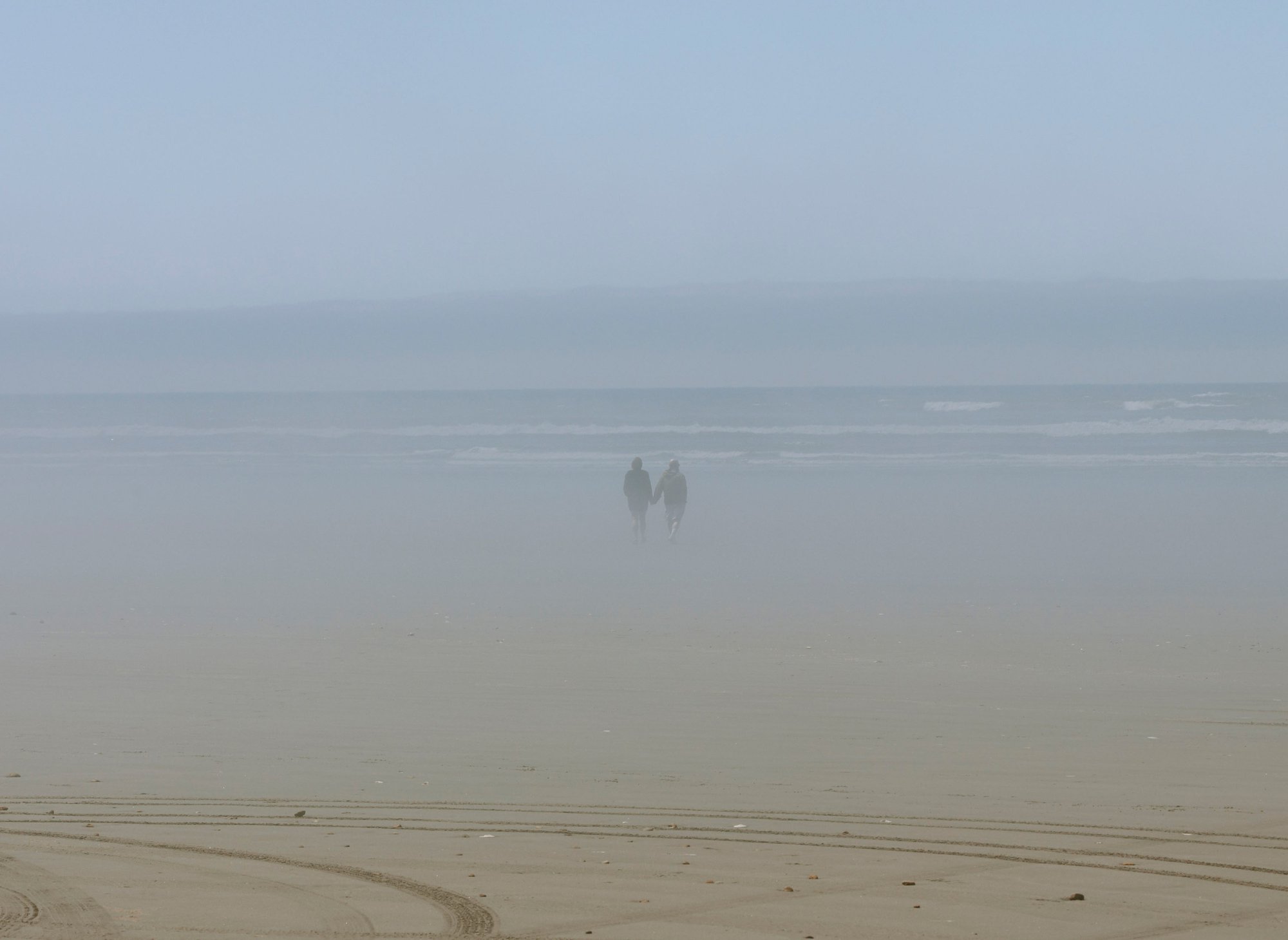 20B_cropCF003266coupleONBEACHWashington2008.jpg