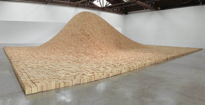 Maya Lin — 2 x 4 Landscape