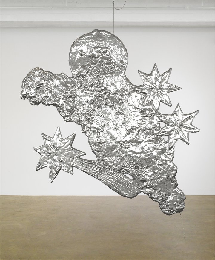 Kiki Smith — Shooting Star
