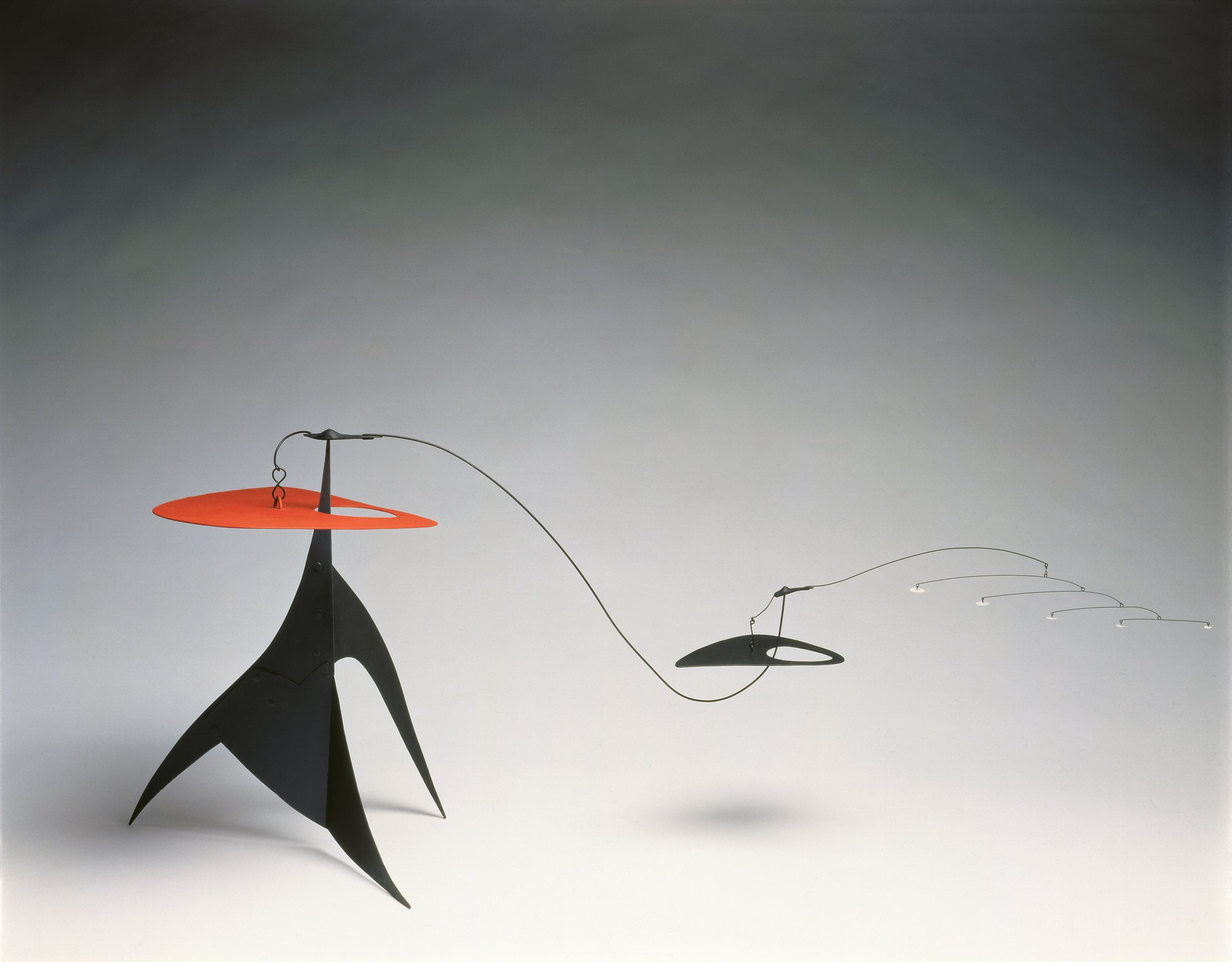 56408_CALDER-High+Resolution+—+300+dpi+.jpg
