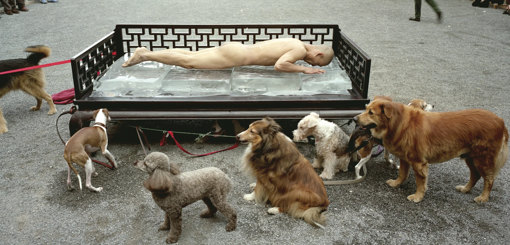 Pilgrimage- Wind and Water in New York by Zhang Huan