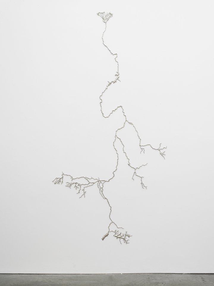 Maya Lin — Silver Nil