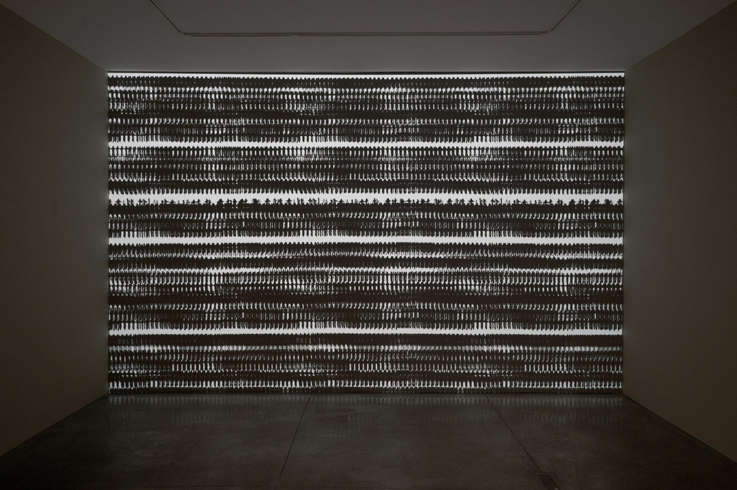 Michal Rovner Pace Gallery