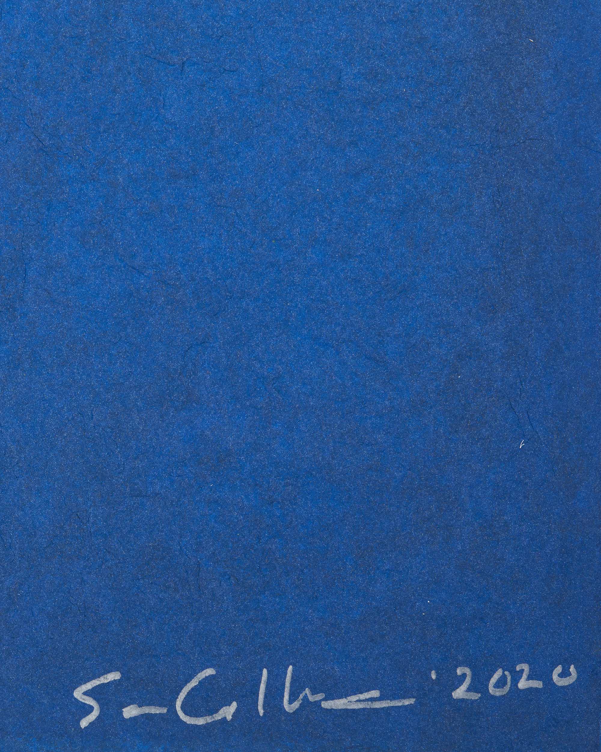 75747_GILLIAM_vDet_01.jpg