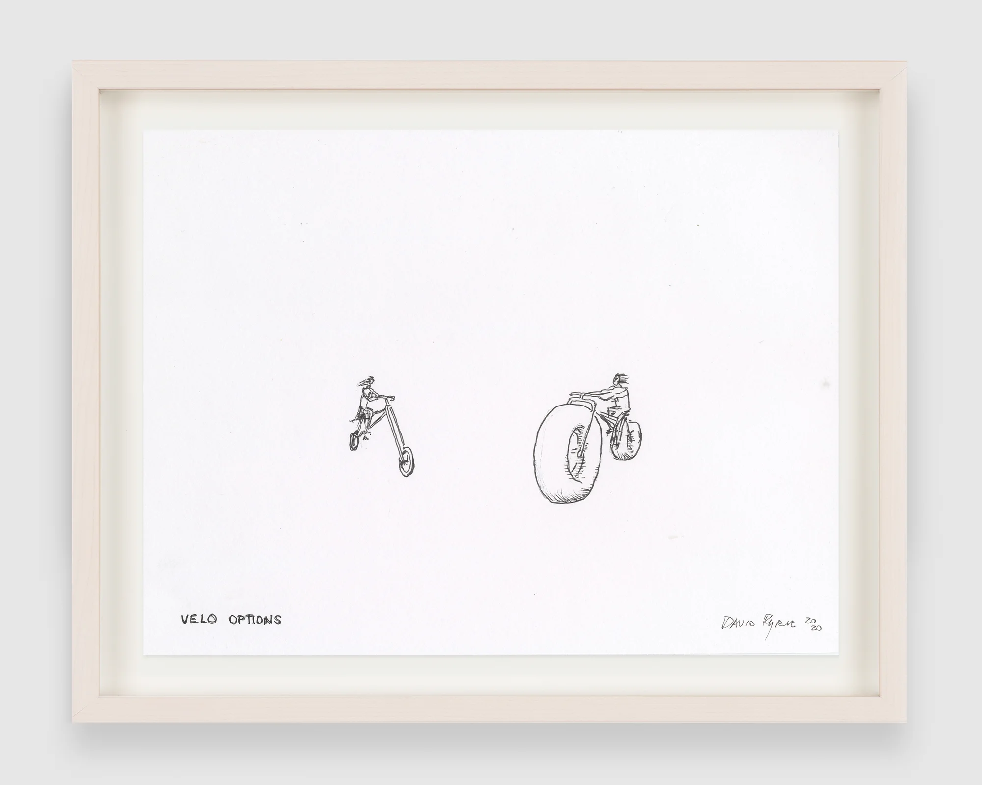 Velo Options by David Byrne