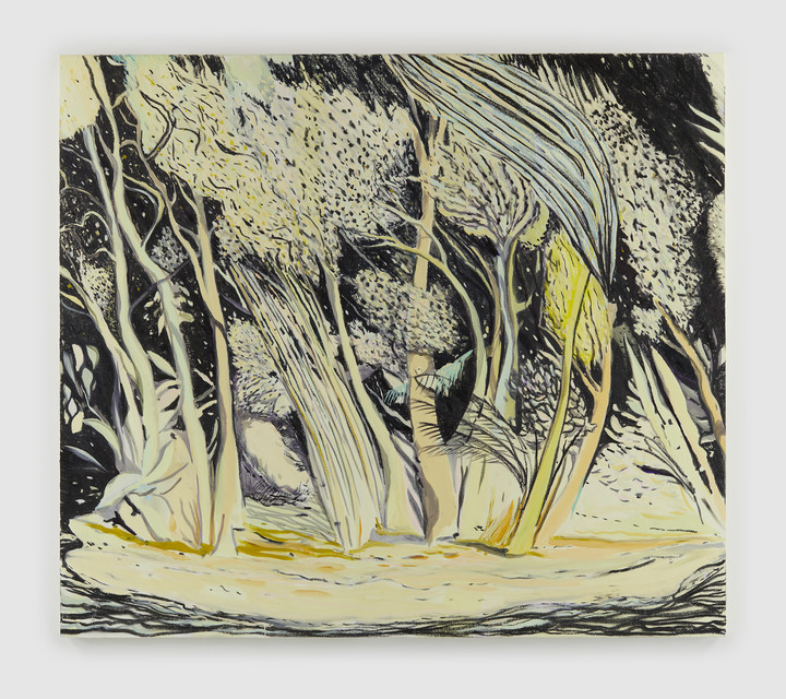 Jules de Balincourt — Beautiful Storm