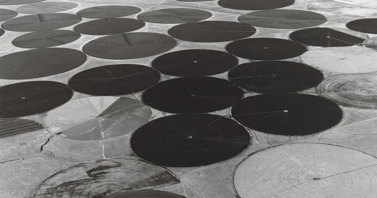 Emmet Gowin: The One Hundred Circle Farm | Pace Gallery
