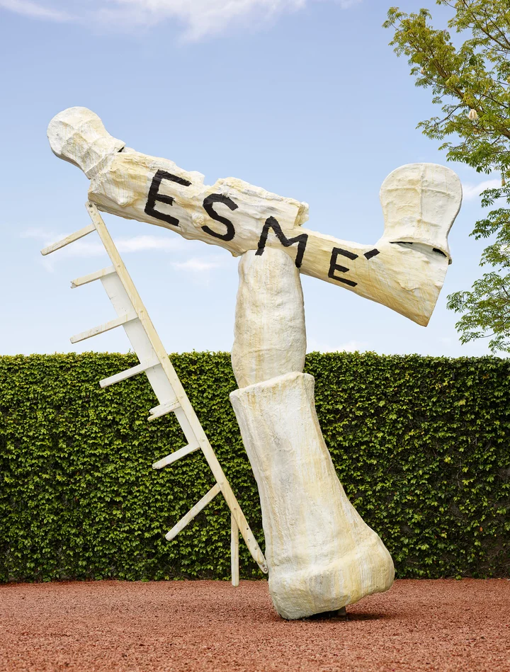 Julian Schnabel — ESMÉ