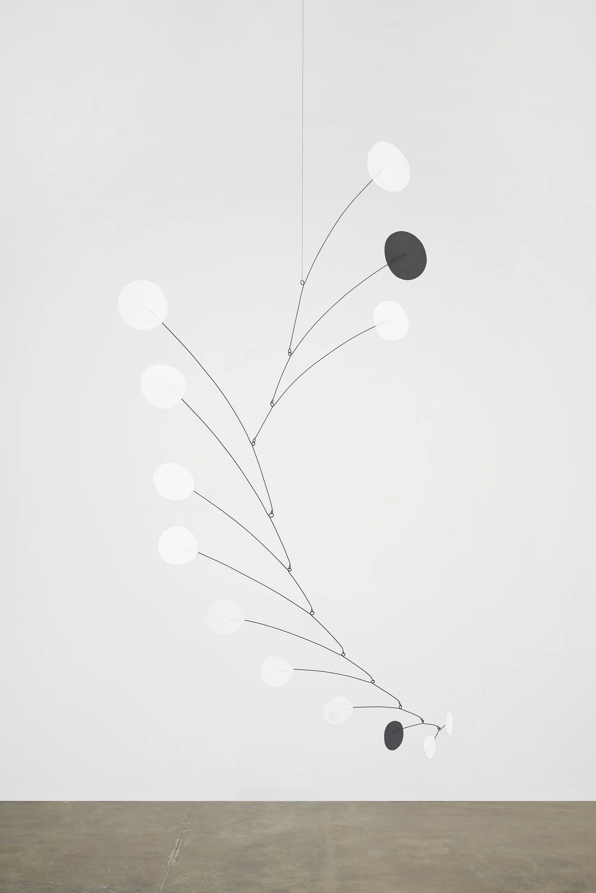 White Ordinary by Alexander Calder