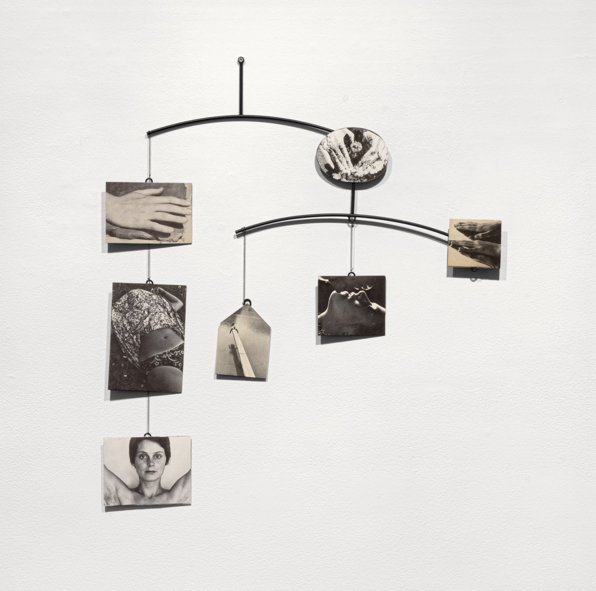 The History of My Pleasure by Carmen Winant