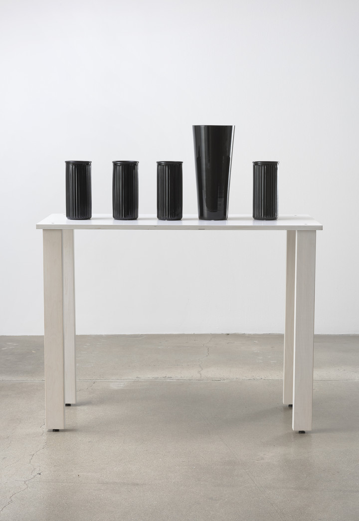 Rodney McMillian — "shelf #1"