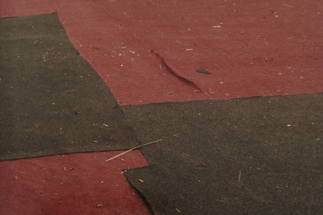 Hiding in Plain Sight In Focus Pace Gallery